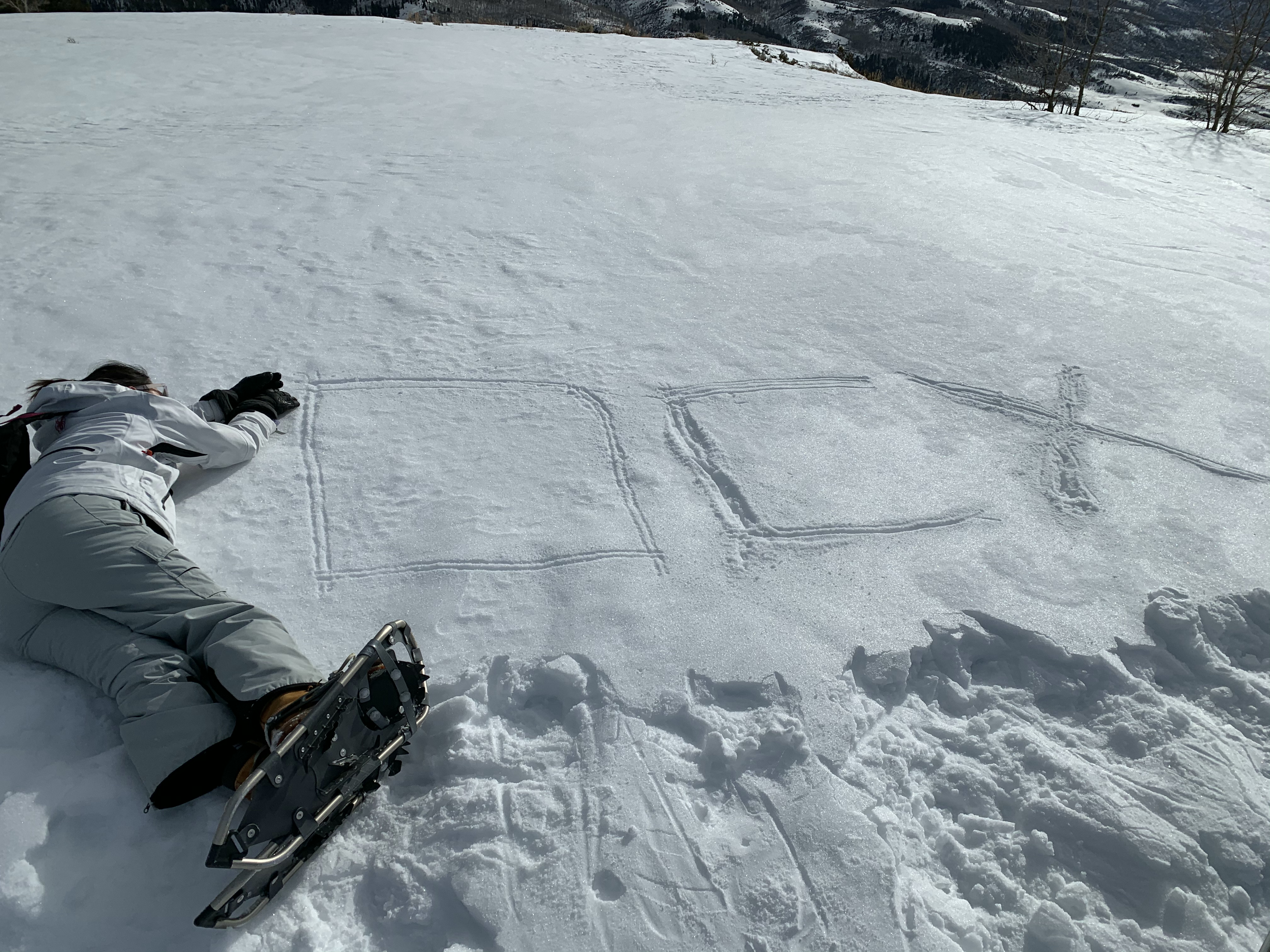 OneChronos logo drawn in snowpack